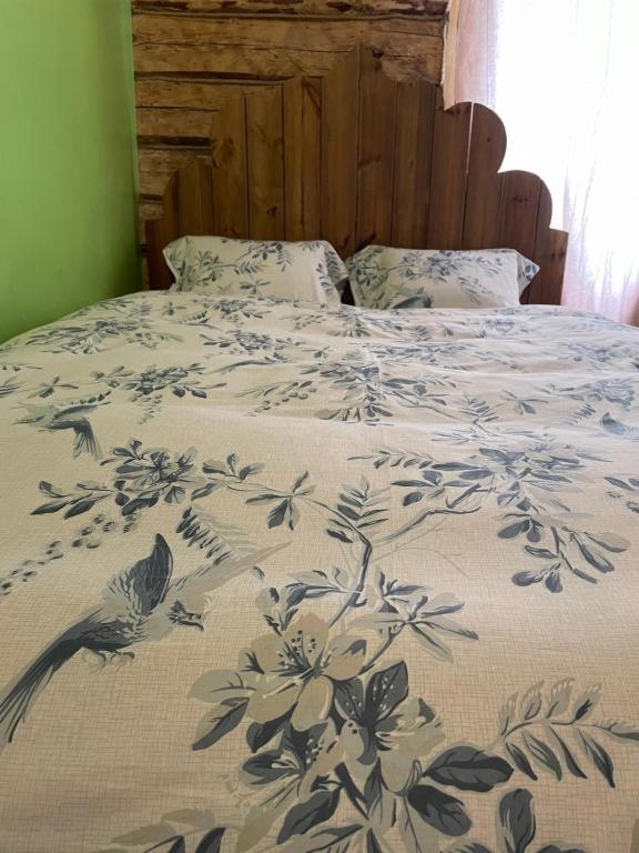 Stebuklas Wilno Zewnętrze zdjęcie